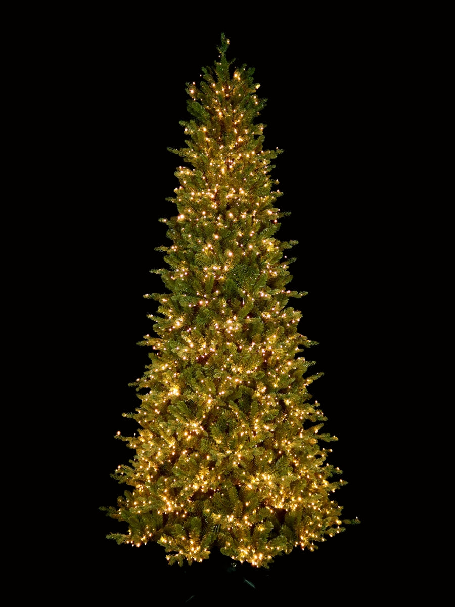 Alberta Slim Spruce 9'